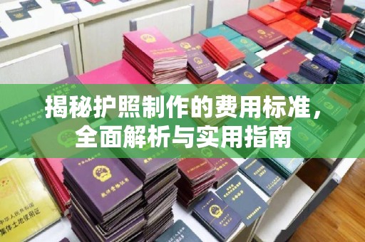 回民揭秘护照制作的费用标准，全面解析与实用指南