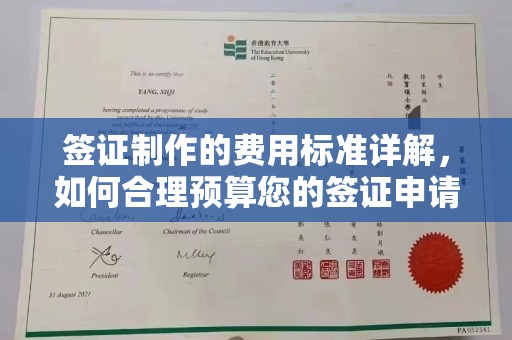回民签证制作的费用标准详解，如何合理预算您的签证申请成本